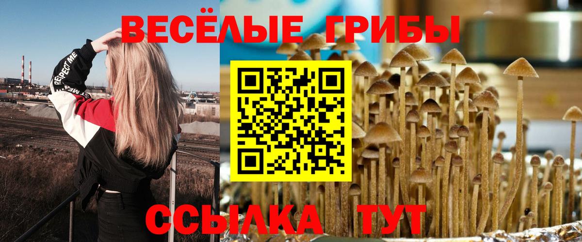 как найти закладки  Псилоцибиновые грибы мицелий  Вход с VPN  Брянск 